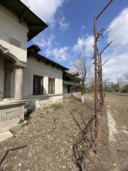 Giurgiu, Ulmi, Trestieni- Comision 0%