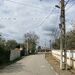 Giurgiu, Ulmi, Trestieni- Comision 0%